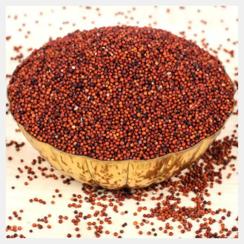 Kezhvaragu Finger Millet