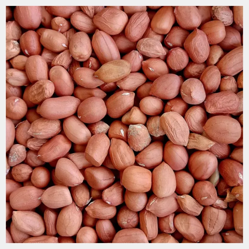 groundnut
