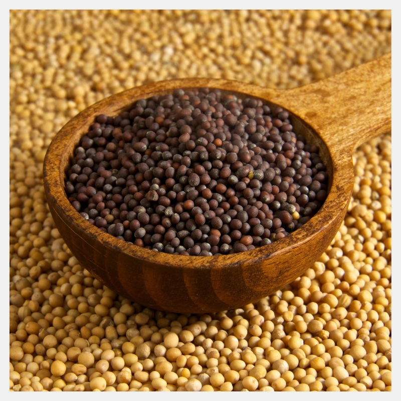 Mustard Oil