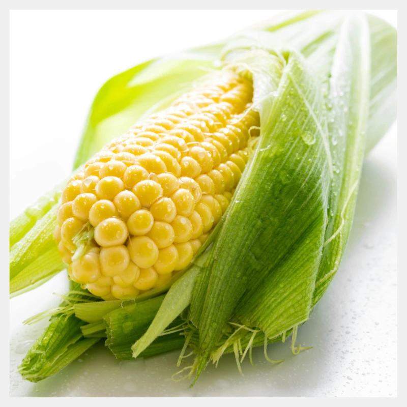 YELLO MAIZE