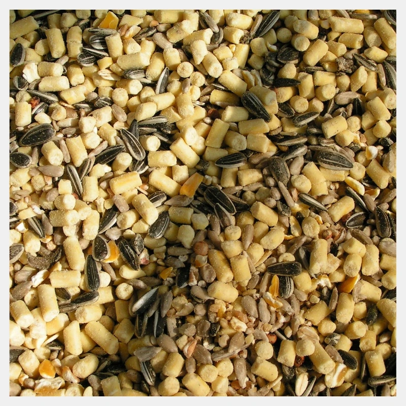 Foxtail Millet Food