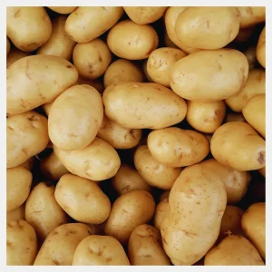 Fresh Potato