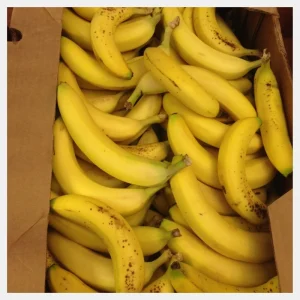 fresh banana