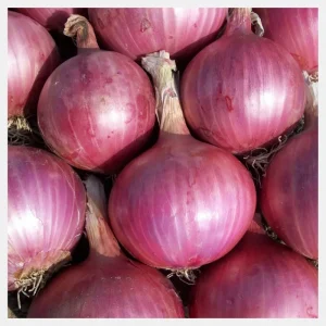Red onion