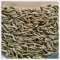 Cumin powder