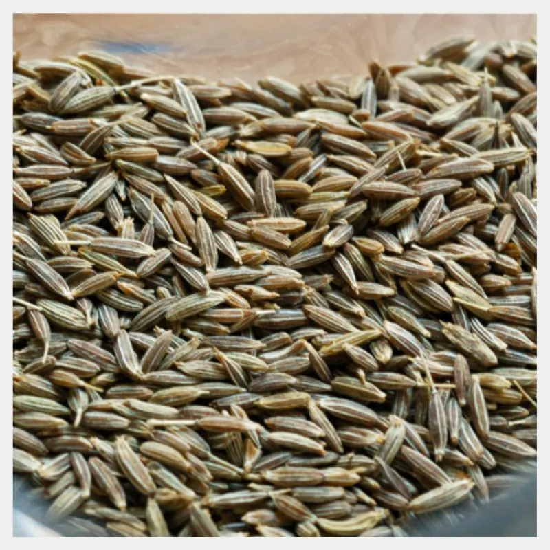 Cumin powder