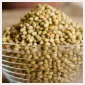 coriander POWDER
