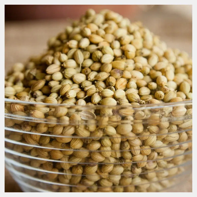 coriander POWDER