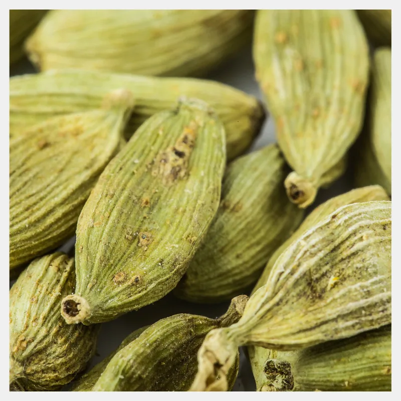 Cardamom