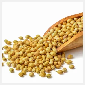 coriander