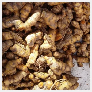 turmeric