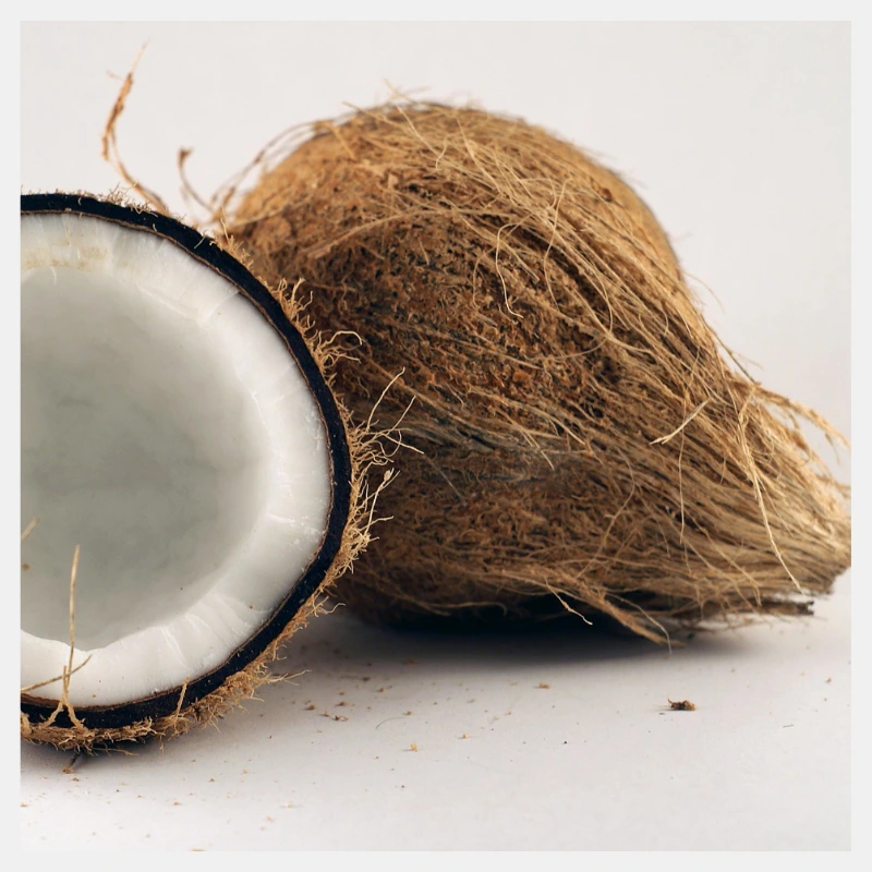 Fresh Coconut
