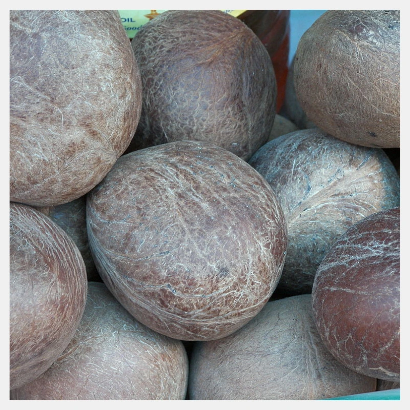 coconut copra
